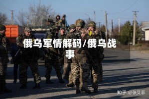 俄乌军情解码/俄乌战事