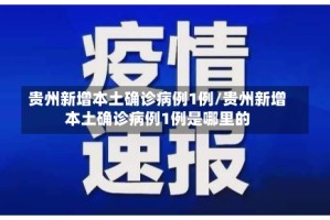 贵州新增本土确诊病例1例/贵州新增本土确诊病例1例是哪里的