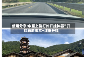 使用分享!中至上饶打炸开挂神器”开挂辅助脚本+详细开挂