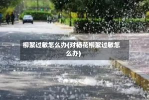 柳絮过敏怎么办(对杨花柳絮过敏怎么办)