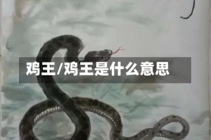 鸡王/鸡王是什么意思