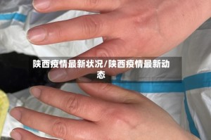 陕西疫情最新状况/陕西疫情最新动态