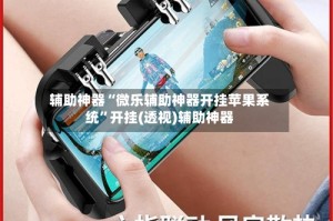 辅助神器“微乐辅助神器开挂苹果系统”开挂(透视)辅助神器