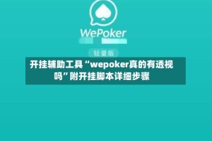 开挂辅助工具“wepoker真的有透视吗”附开挂脚本详细步骤