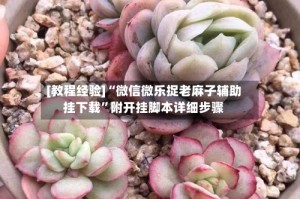 [教程经验]“微信微乐捉老麻子辅助挂下载”附开挂脚本详细步骤