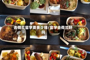 去荷兰留学要多少钱/留学去荷兰好吗