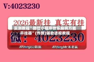实测教程”微信小程序微乐麻将万能开挂器”(作弊)辅助透视教程