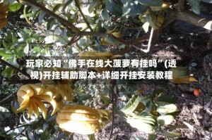 玩家必知“佛手在线大菠萝有挂吗”(透视)开挂辅助脚本+详细开挂安装教程