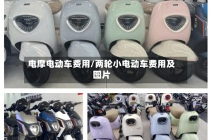 电摩电动车费用/两轮小电动车费用及图片