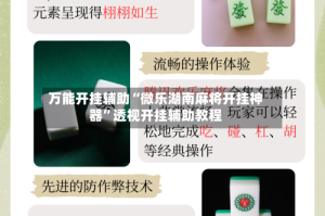 万能开挂辅助“微乐湖南麻将开挂神器”透视开挂辅助教程