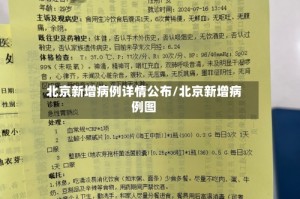 北京新增病例详情公布/北京新增病例图