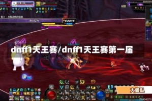 dnff1天王赛/dnff1天王赛第一届