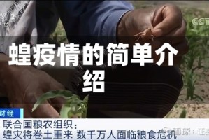 蝗疫情的简单介绍
