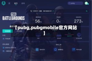 【pubg,pubgmobile官方网站】