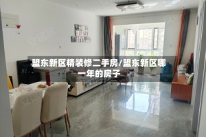 盟东新区精装修二手房/盟东新区哪一年的房子