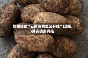 教程辅助“云南麻将怎么开挂”(透视)其实确实有挂