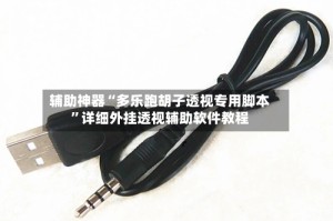 辅助神器“多乐跑胡子透视专用脚本”详细外挂透视辅助软件教程