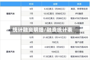 统计融资明细/融资统计表
