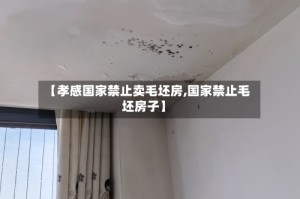 【孝感国家禁止卖毛坯房,国家禁止毛坯房子】