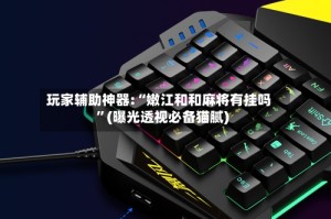 玩家辅助神器:“嫩江和和麻将有挂吗”(曝光透视必备猫腻)