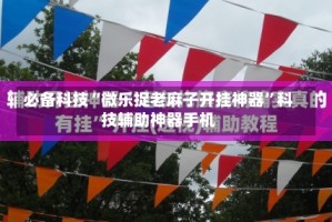 必备科技“微乐捉老麻子开挂神器”科技辅助神器手机