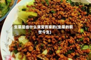 生菜是由什么演变而来的(生菜的前世今生)