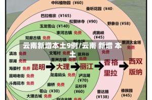 云南新增本土9例/云南 新增 本土
