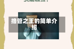 撸管之王的简单介绍