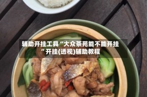 辅助开挂工具“大众茶苑能不能开挂”开挂(透视)辅助教程