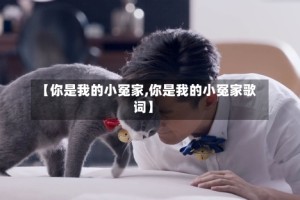 【你是我的小冤家,你是我的小冤家歌词】