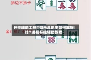 开挂辅助工具“微乐斗地主如何拿好牌”透视开挂辅助教程