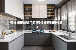 整体橱柜加盟厂家(整体橱柜加盟代理)