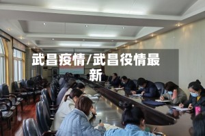 武昌疫情/武昌役情最新