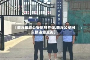 【商丘车辆公安信息查询,商丘公安网车辆违章查询】