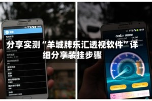 分享实测“羊城牌乐汇透视软件”详细分享装挂步骤