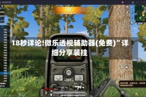 18秒详论!微乐透视辅助器(免费)”详细分享装挂