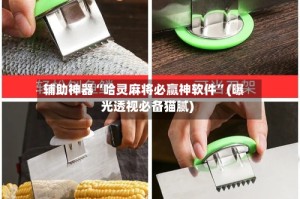 辅助神器“哈灵麻将必赢神软件”(曝光透视必备猫腻)