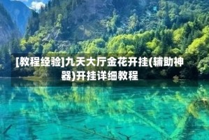 [教程经验]九天大厅金花开挂(辅助神器)开挂详细教程