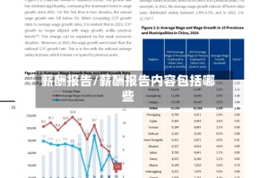 薪酬报告/薪酬报告内容包括哪些