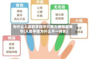 为什么人类的手指中只有大拇指是两节(人类手指为什么不一样长)