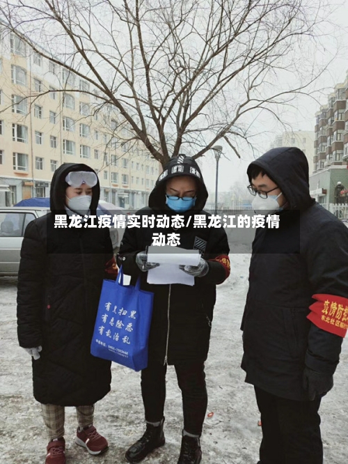 黑龙江疫情实时动态/黑龙江的疫情动态-第1张图片