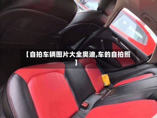【自拍车辆图片大全奥迪,车的自拍照】-第2张图片