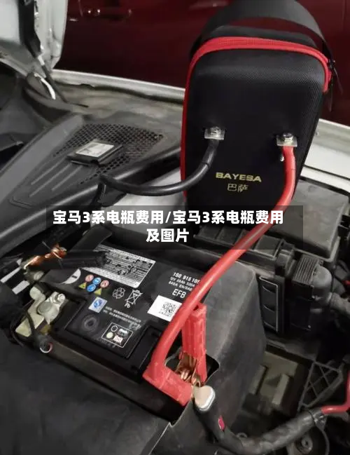 宝马3系电瓶费用/宝马3系电瓶费用及图片-第1张图片