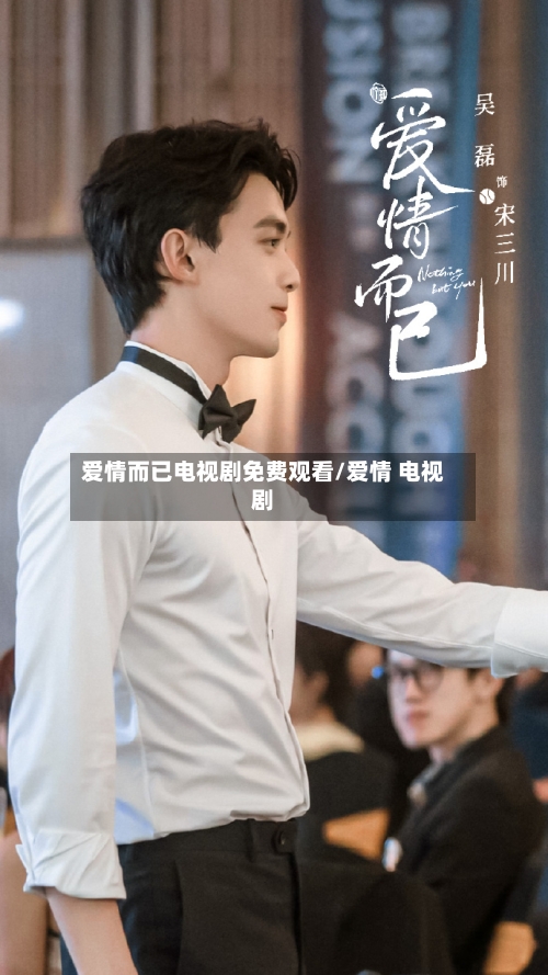 爱情而已电视剧免费观看/爱情 电视剧-第3张图片