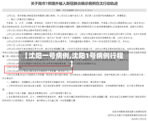 【沈阳一号病例,沈阳1号病例行程】-第1张图片