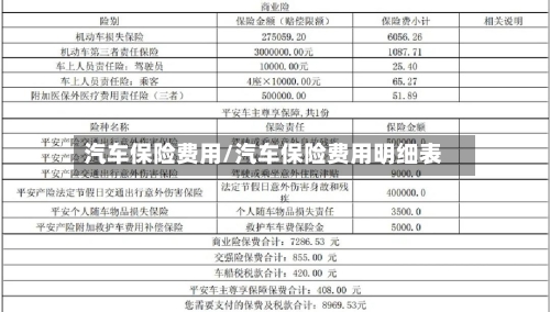 汽车保险费用/汽车保险费用明细表-第3张图片