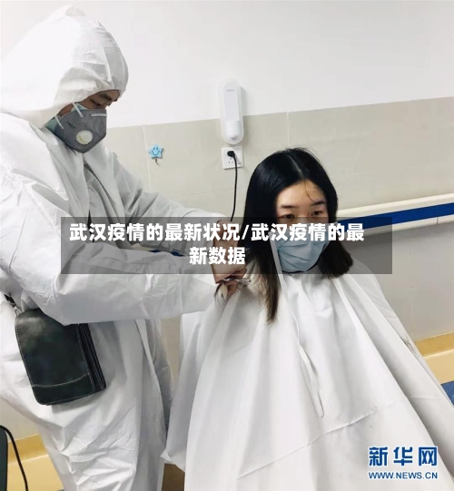 武汉疫情的最新状况/武汉疫情的最新数据-第2张图片