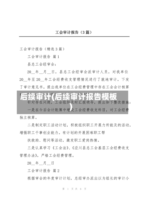 后续审计(后续审计报告模板)-第2张图片