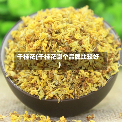 干桂花(干桂花哪个品牌比较好)-第2张图片
