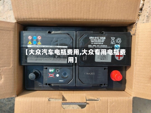 【大众汽车电瓶费用,大众专用电瓶费用】-第1张图片